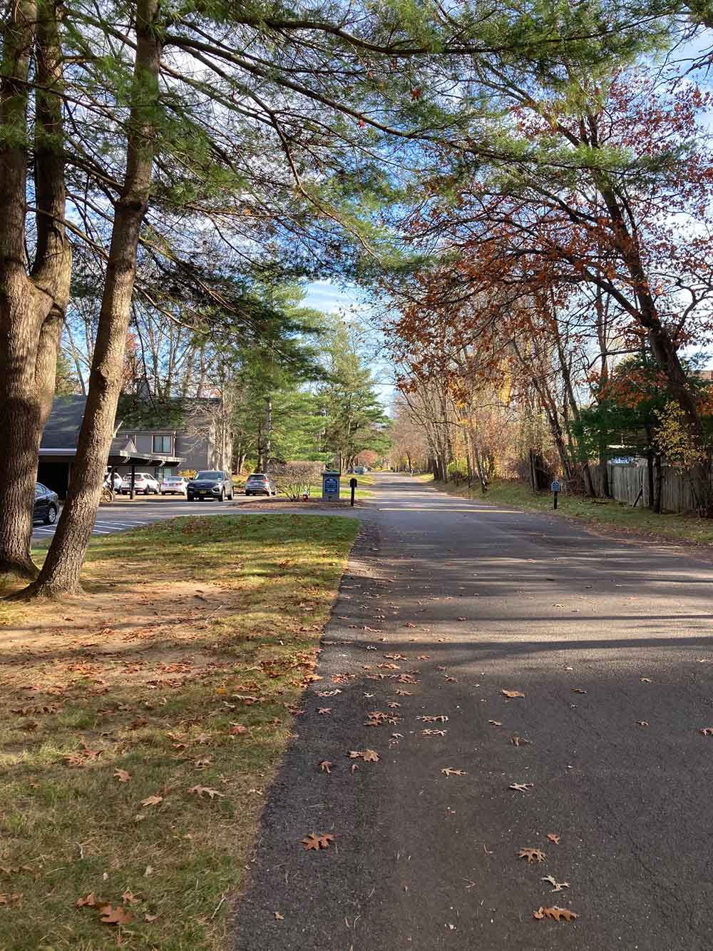 Walk and Talk therapy